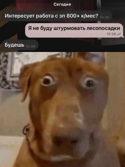 - В "Пятёрочку" заскочим?