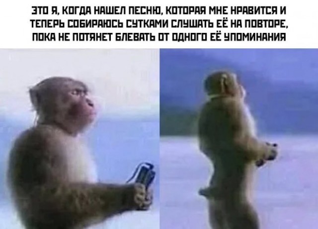 Картинки для деградации 75 (разной степени свежести)
