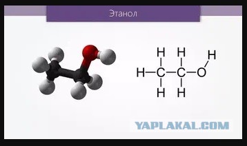 Литературный клуб "Птица Говорун"