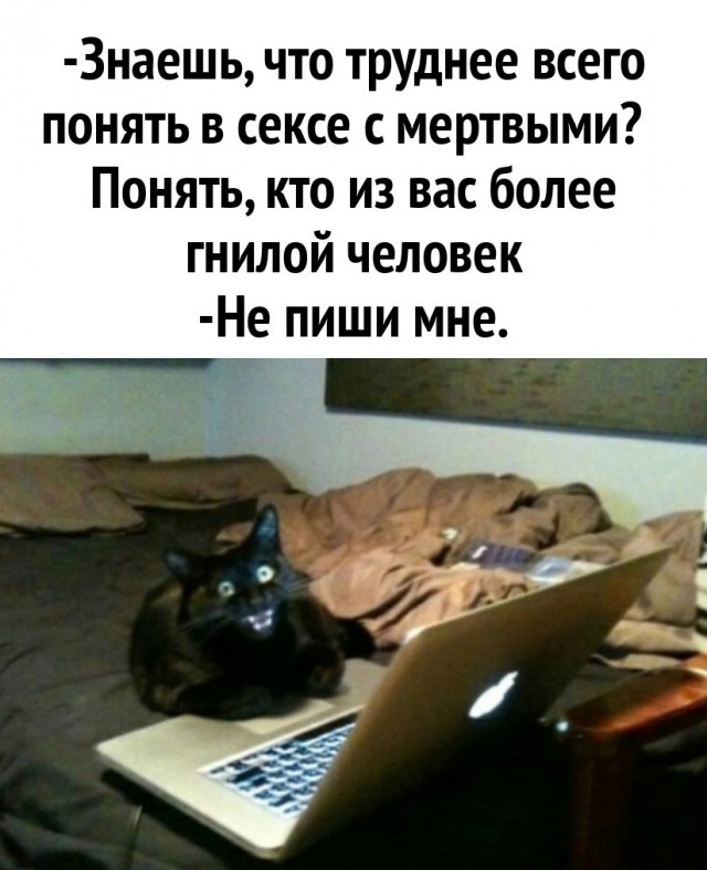 Картинки для деградации 104 (разной степени свежести)