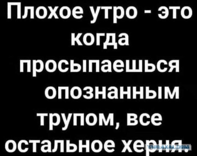 Так себе картинки 17.01.26
