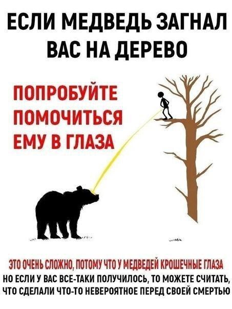 Пройдусь по абрикосовой, сверну не деградантную