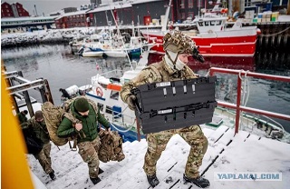 Миссия финских военных в Гренландии подошла к концу