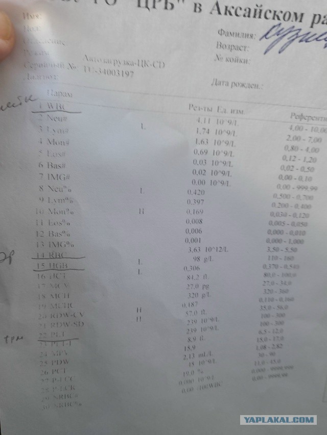 Не дать растаять Снегурчке. Нужна помощь всесильного Япа.