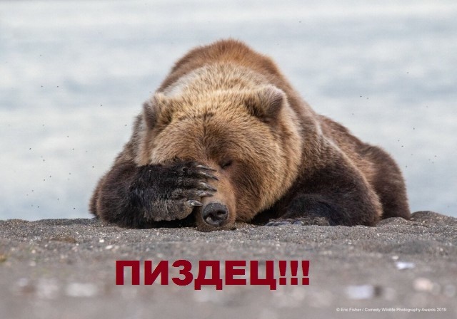 До 80 тысяч рублей стоит один день на  пляже в Сочи