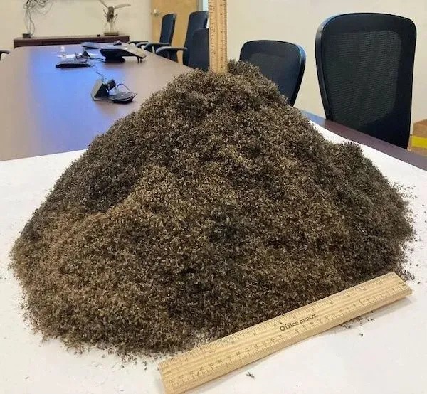 Интересные пятничные фотографии со всего мира
