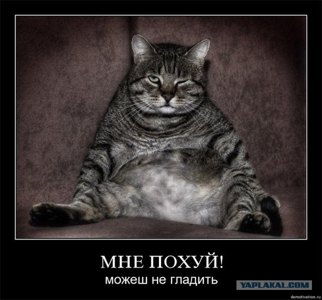 Личный сборник демотиваторов [~25]