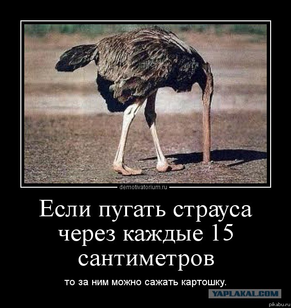 Не хочу домой