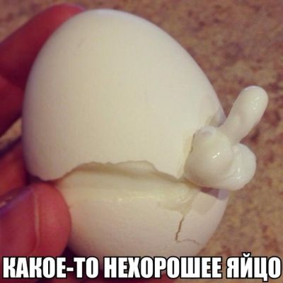 Смешные картинки