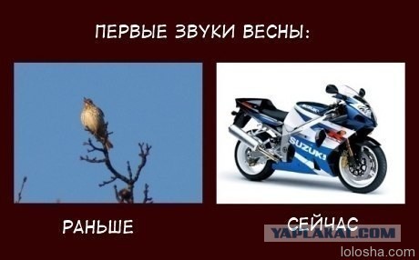 Мотодегенератам