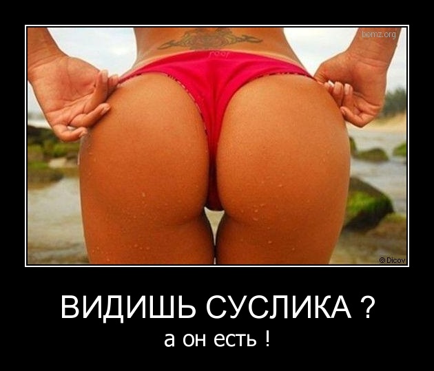 3-летний мальчик вспомнил свою прошлую жизнь...