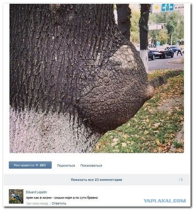 Комменты