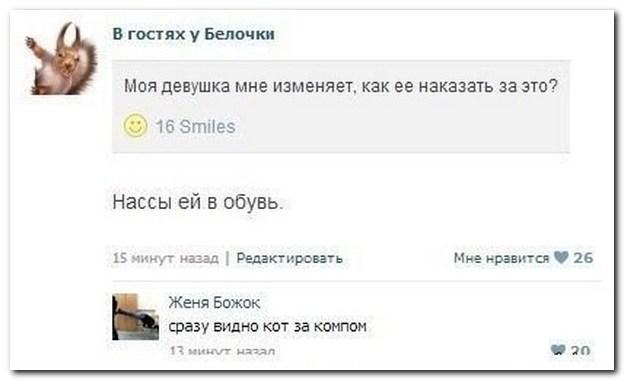 Комментарии из Сети