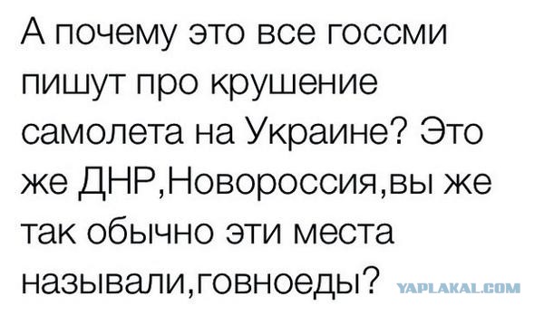 На Украине рухнул Боинг-777 малайзийских авиалиний