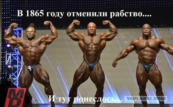 Смешные комментарии из социальных сетей 04.08.14