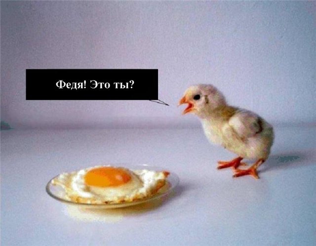 Веселые картинки.
