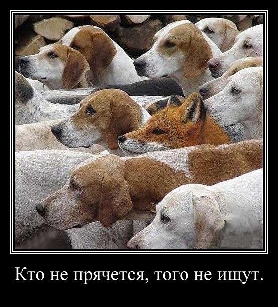 Демотиваторов пост