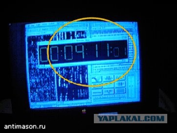 История одного убийства