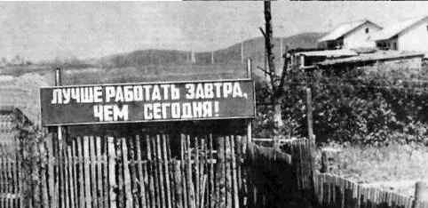 25 фотографий о том, что жизнь прекрасна