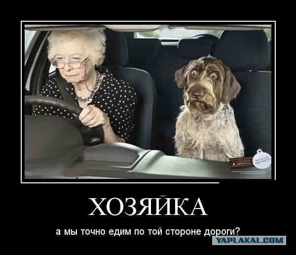 Подборка демотиваторов