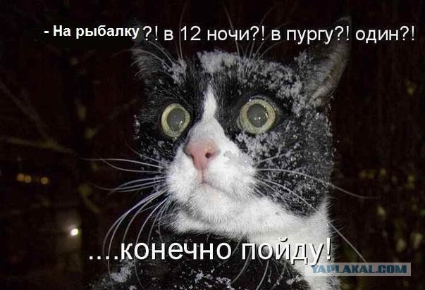 Снова на лед