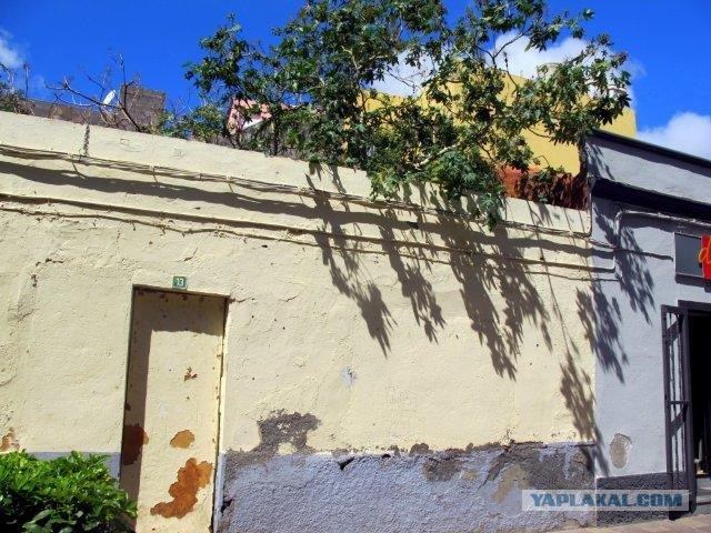 Канарские острова