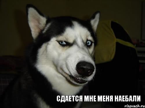 Про "Уголок падонка"