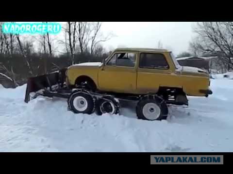 Забавные картинки из интернетов