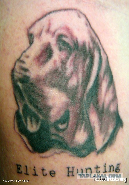 Сбор березового сока