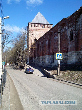 Миграция московского планктона