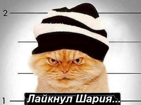 Вычислю по IP