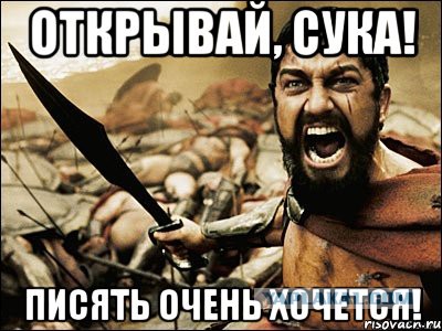В джунгли тебя мы на время забросим