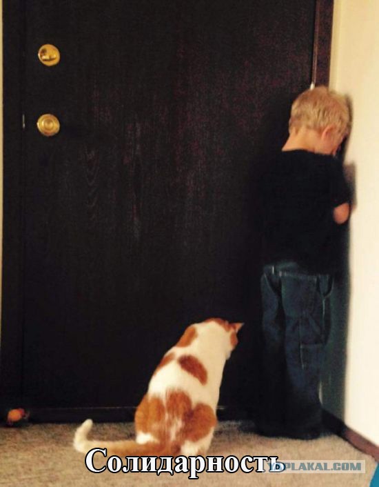 Подборка веселостей из сети