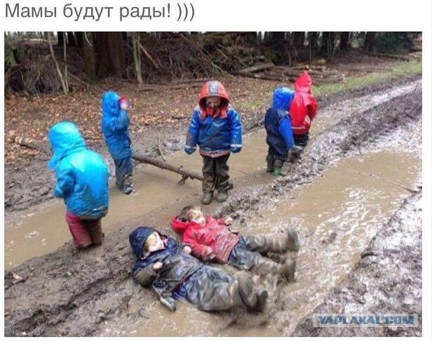 Веселости из сети