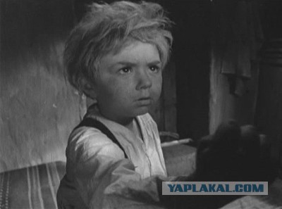 От чего же погибла армия Наполеона?