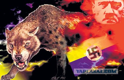 Завод АТО Украина