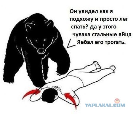 Толпы красоток ждут, пока я найду их...