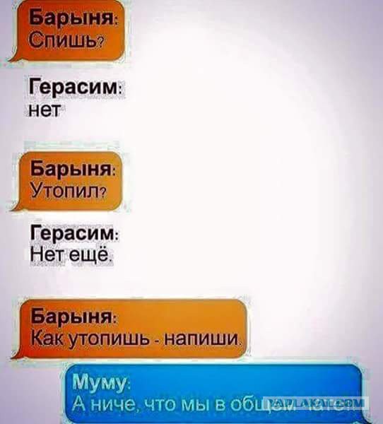 Смешные комментарии из соц. сетей 28.10.15