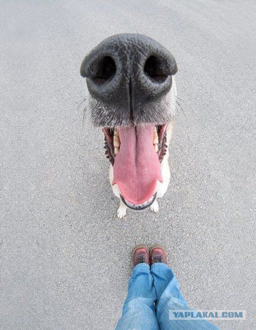 Немного картинок на воскресенье