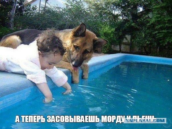 Не доверяйте маленьким детям