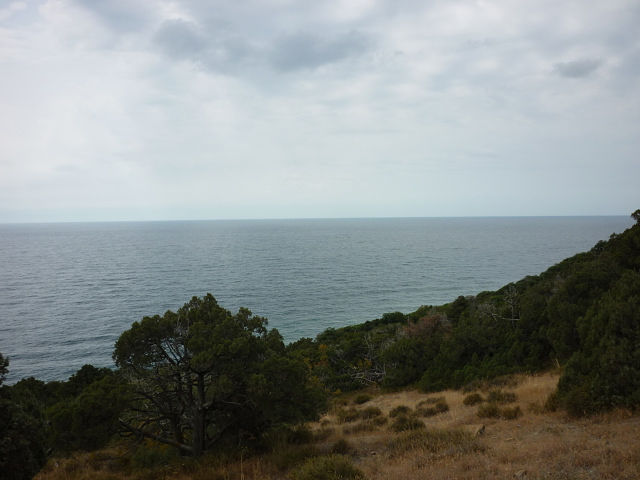 Такое разное Чёрное море