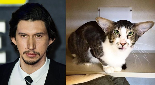 Бывают в жизни совпадения