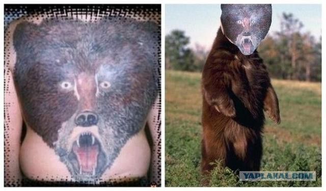 Картинки из интернетов