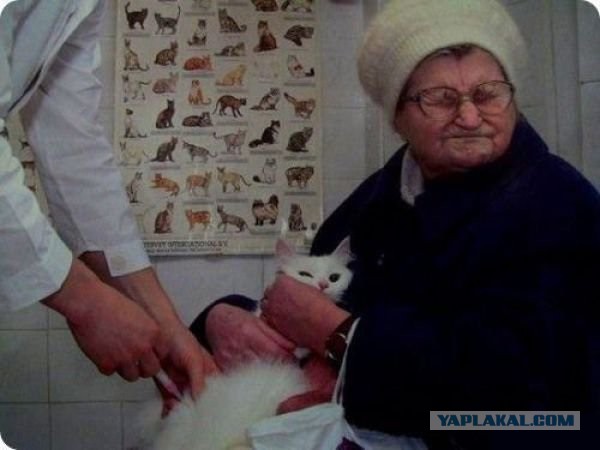 Подборка идиотских фотографий часть 2