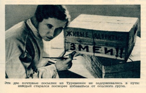 История в фотографиях