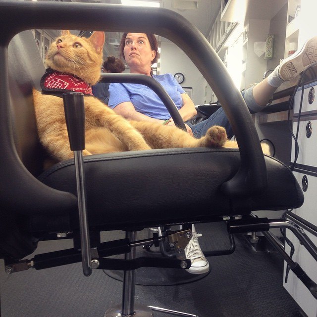 Подборка интересных и веселых фото