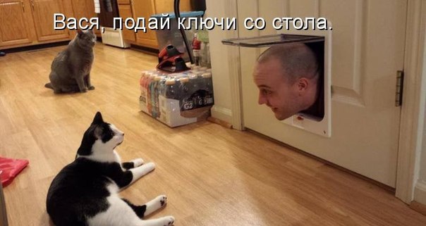 Картинки разные