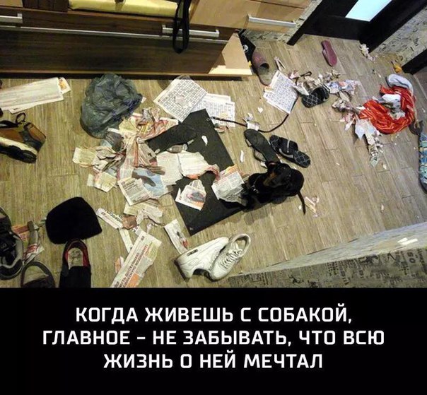 Картинки на пятницу