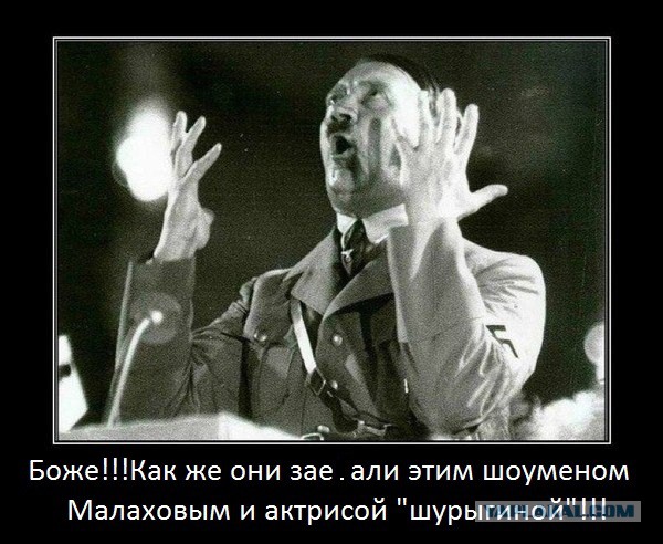 Весёлые картинки из интернета