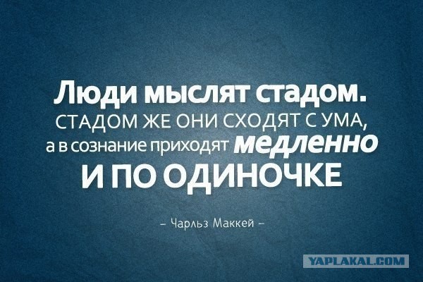 Рейтинг доверия правительству РФ